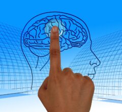 Neurofeedback a Savona e Albenga